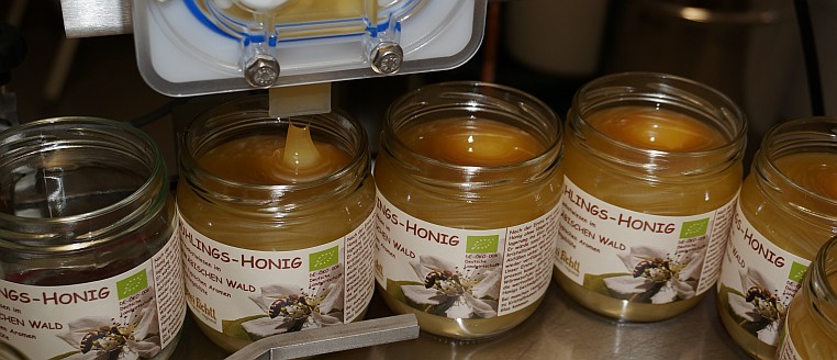 Honigernte