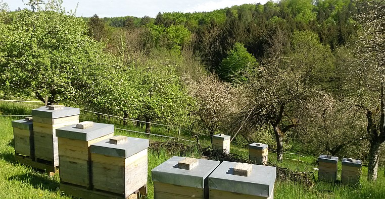 Bienenstände