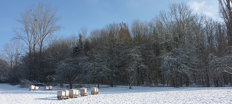 Bienenstände