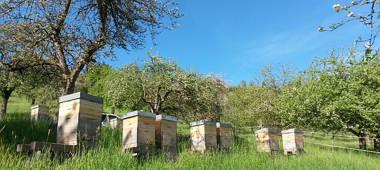 Bienenstände