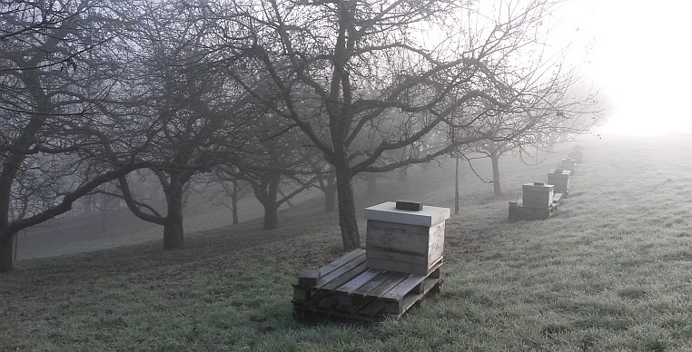 Bienenstände