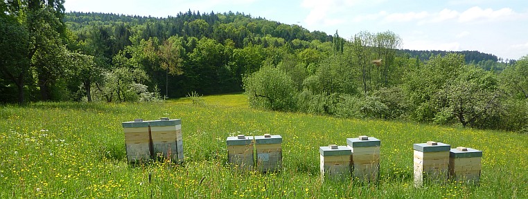 Bienenstände