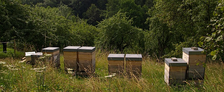 Bienenstände