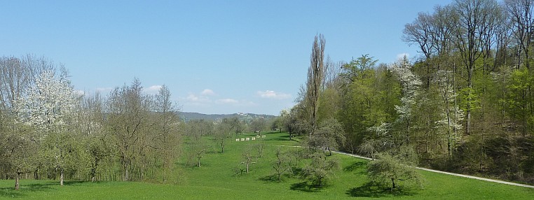 Bienenstände